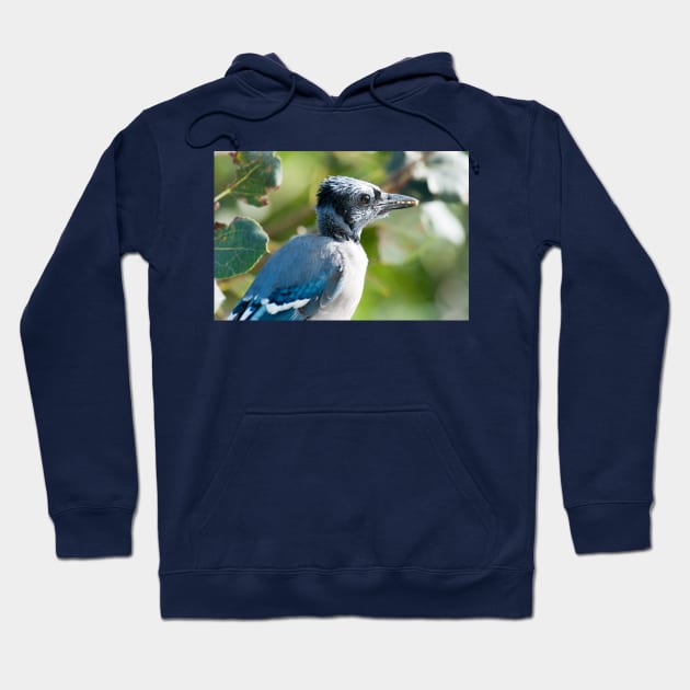 A Beak Full Hoodie by gdb2